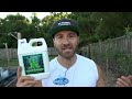 This Fertilizer Is My SECRET WEAPON For A Healthy Productive Garden!