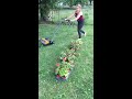 My new lawn workout toy🌱🌾🍃💚 fiskars staysharp max reel mower