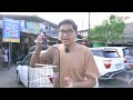 BELI BURUNG KOLIBRI TERKECIL DI DUNIA KE PASAR BURUNG SUKAHAJI BANDUNG?! IMUT BANGET!