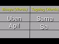 Bisaya to Tagalog Word Translation