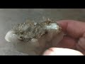 Dissolving Rock with Acid Exposing Crystals | Muriatic Acid | Tips and Tricks Rockhounding
