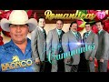 Los Caminantes, Bronco Mix Romanticas🌸Los Caminantes ,Bronco 20 Rancheras Romanticas Perronas Éxitos