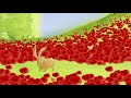 Beautiful animation sees war as experienced by animals | Poppies - BBC