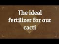 Fertilizing & feeding my cacti and succulents - why, what, how and when? #cacti #cactus #fertilizer