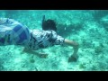 Sail-Snorkel Grand Cayman