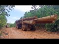 Truk Pengangkut Kayu Dari Dalam Hutan Kalimantan - Mercedes Benz Logging Truck
