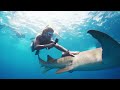 Under Red Sea 4K 🐳 Incredible Underwater World - Tropical Fish, Coral Reefs, Jellyfish Aquarium