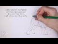 How to Draw a Dog (Schnauzer)