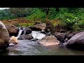 Peaceful river flowing sound gentle river | Relaxing nature sounds white noise for sleep, insomnia