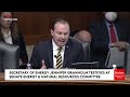 Mike Lee Tells Energy Secretary That Her 'Department Should Not Exist' If It Doesn't Follow Mandate