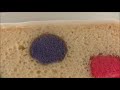 Cómo Poner Facil Fondant a un Pastel (Bien Explicado) - Madelin's Cakes
