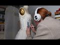 Sewing My Dream Wedding Dress (Ultimate Thrift Flip Transformation) | DIY Wedding Dress