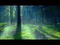 Sunny Mornings, Beautiful Relaxing Music, stress relief. Music for Work, Sleep, Meditation.