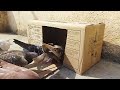 Must Watch New Pigeon Trap 2024 Using Cardboard Box #pigeons
