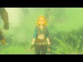 How Many NPCs REALLY Forgot Link in Tears of the Kingdom? (BOTW/TOTK)