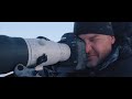 How to Photograph Polar Bears in One of the Most Extreme Places on Earth | Short Film Showcase