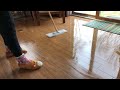 ASMR cleaning wood floors with microfiber cloth pad (no talking)