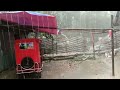 Elma's vlog video | ইলমার নানার বাড়িতে যখন প্রচন্ড বৃষ্টি এবং ঝড় তুফান  হয়। the Rain, rain, Elma
