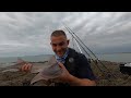 Shore Fishing UK - NON-STOP ACTION - My best shore fishing in years | The Fish Locker