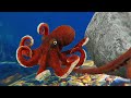What Happens If You Save an Octopus After Mating?