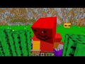 BAYDOKTOR VS MİNECRAFT #654 😱 - Minecraft