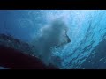 Oceans | China Wild 5/5 | Go Wild