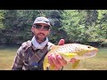The Current River // A Missouri Fly Fishing Trip