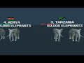 Elephant Population By African Country 2024