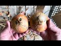 Grow BIG ONIONS from seed: Part 3 harvest and long term storage