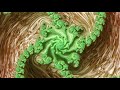 Infinity Liquid - A Mandelbrot Fractal Zoom