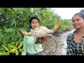 Lucky - I Found Giant Mud Crabs at Mangrove Trees near The Sea after Water Low Tide