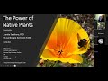 The Power of Native Plants | Speaker: Juanita Salisbury