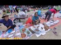 Fair Market Thai Hoa Binh People Lao People Buy All Specialties and Delicious Goods