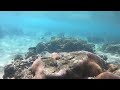 Snorkeling At The Mermaids Grotto | Okinawa, Japan