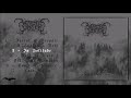 Nordicwinter - Desolation [Full Album] (Atmospheric/Depressive Black Metal)