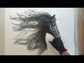 Charcoal Drawing~Horse~Step-By-Step Demonstration