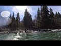 Hoh River Canyon Steelhead 2024