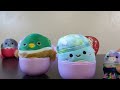 A whole set! | Squishmallows Mystery Squad Minis - Valentines 2024 | Adult Collector Review