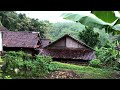 Super Heavy Rain & Lightning in My Village, Focus Very Calm in the Mind | ASMR - Healing
