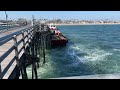 Hanging around Disneyland | Fishing in Seal Beach #disneyland #disney #fishing