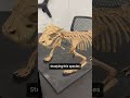The incredibly odd Simosuchus clarki
