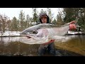 Snowy Steelhead Fishing! First Time Hammock Camping (January 2022)