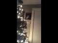 Christmas video 2