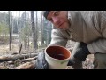 Chaga Hunting - How to find it and what to look for