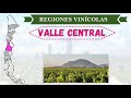 Vinos de CHILE ▶ 🍷[Clima, uvas y regiones vinícolas]