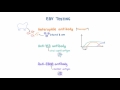 Epstein Barr Virus (EBV) Diagnosis and Testing