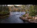 10-hour Stream Ambience • Relaxing Water Sound • 4K nature river white noise study focus relax sleep