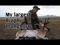 2023 Pronghorn Hunt in Southern Alberta, using a Hammer bullet.