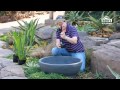 Builders DIY: Episode 5 - Simple Water Feature