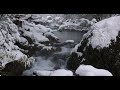 4K video + natural environmental sounds /January 24th / Beautiful snowy scenery